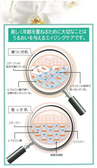 傷ついた肌と整った肌